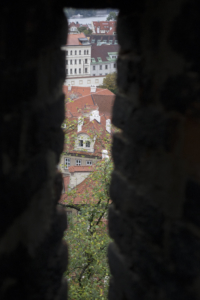 tähystys